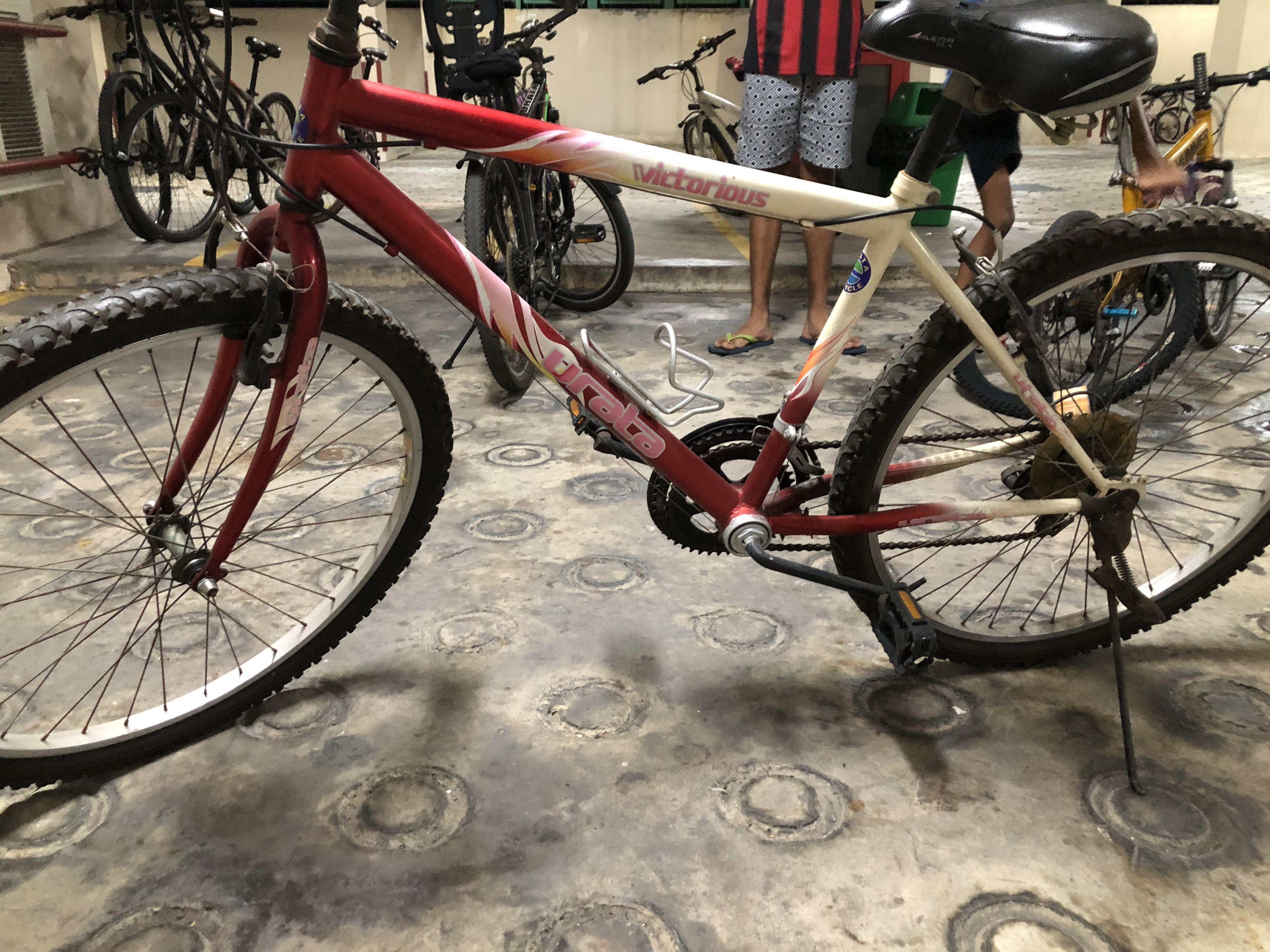 adult bicycle for sale
