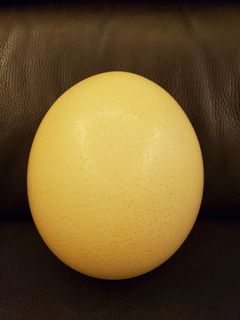 （分類：）位於 。 由 happyMemyself 提交（商品編號 1042172904，圖片 1）。簡介： 。