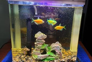 (Category: ) located in . Submitted by clientshubb (Listing ID 1042161025, Image 1). Description: .