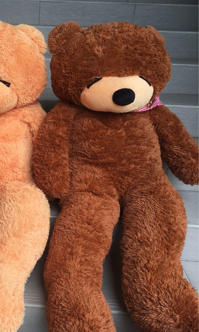 big brown teddy bear
