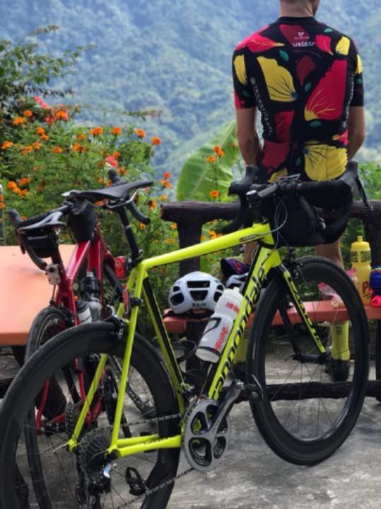 Caad12 frameset 56 outlet