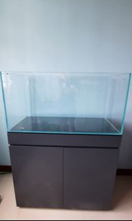 (Category: ) located in . Submitted by aquaticstore (Listing ID 1042191785, Image 1). Description: .