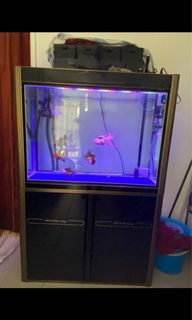(Category: ) located in . Submitted by board9876 (Listing ID 1042190752, Image 1). Description: .