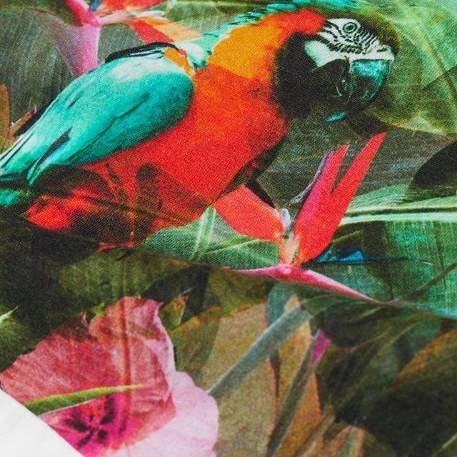 H&m parrot shirt shop