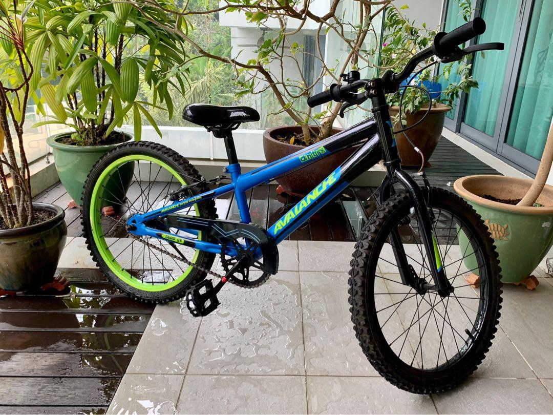 Pacific 20 inch mountain bike clearance