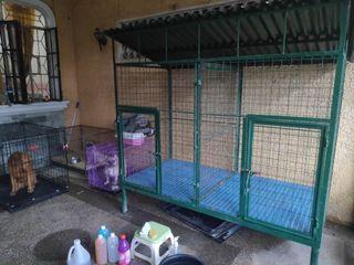 Large Dog Cage