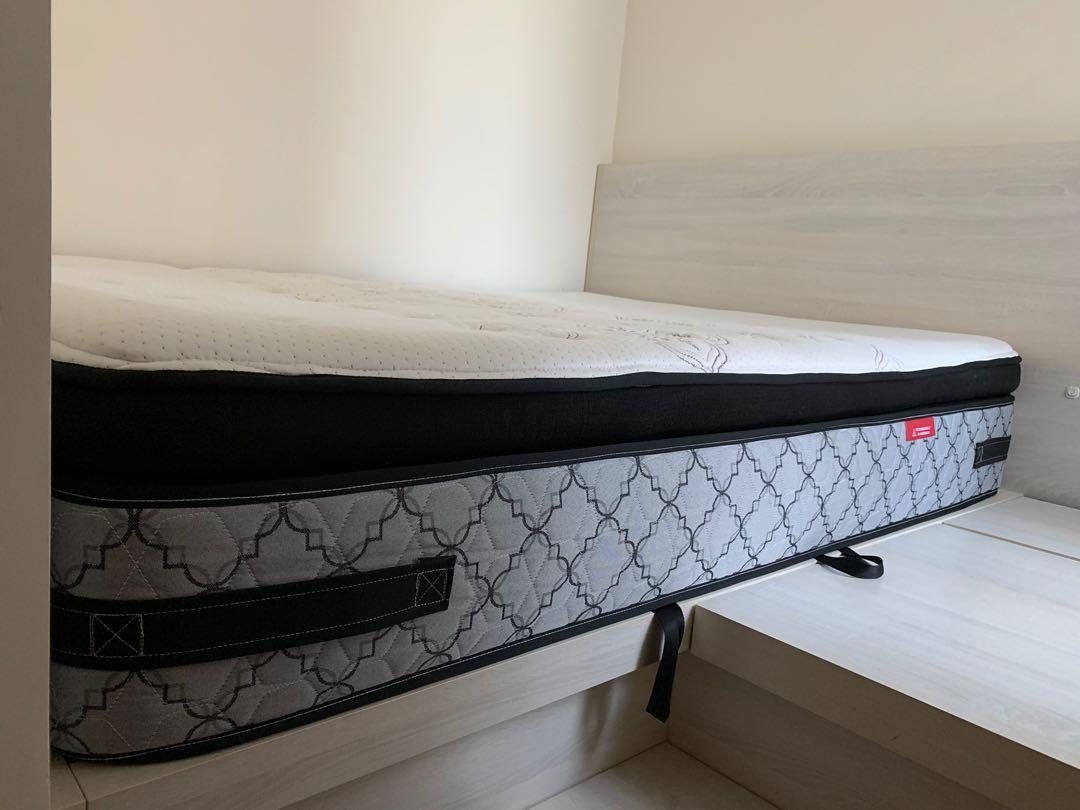 Rochester shop sealy beds