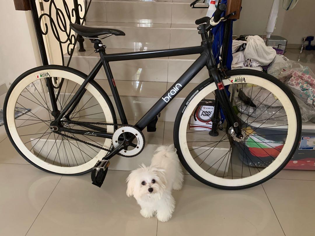 Gear set store sepeda fixie