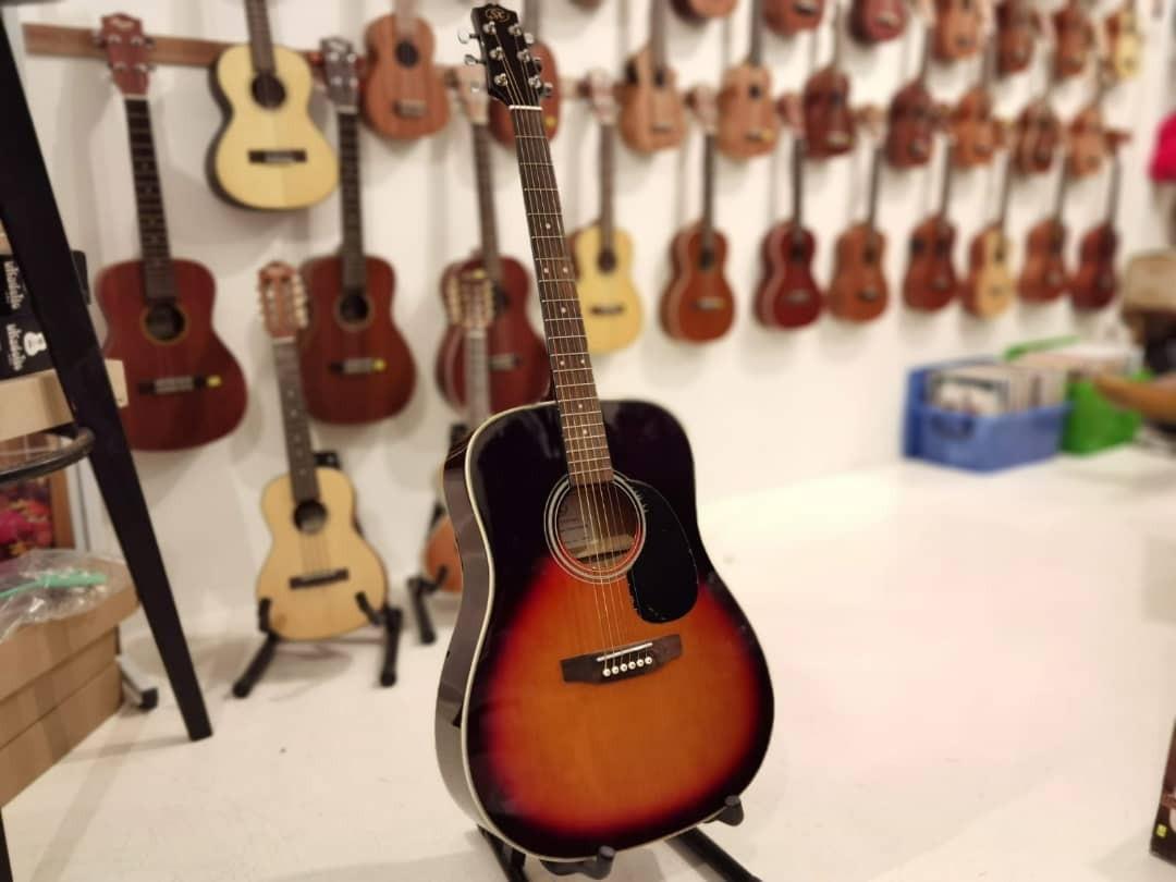 Guitar