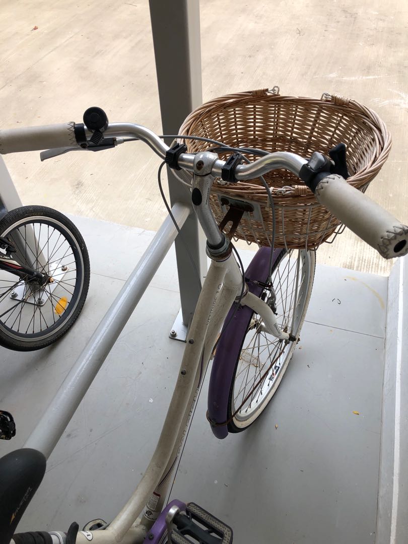 ladies bicycle for sale