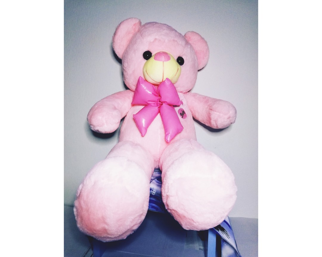 teddy bear birthday gift