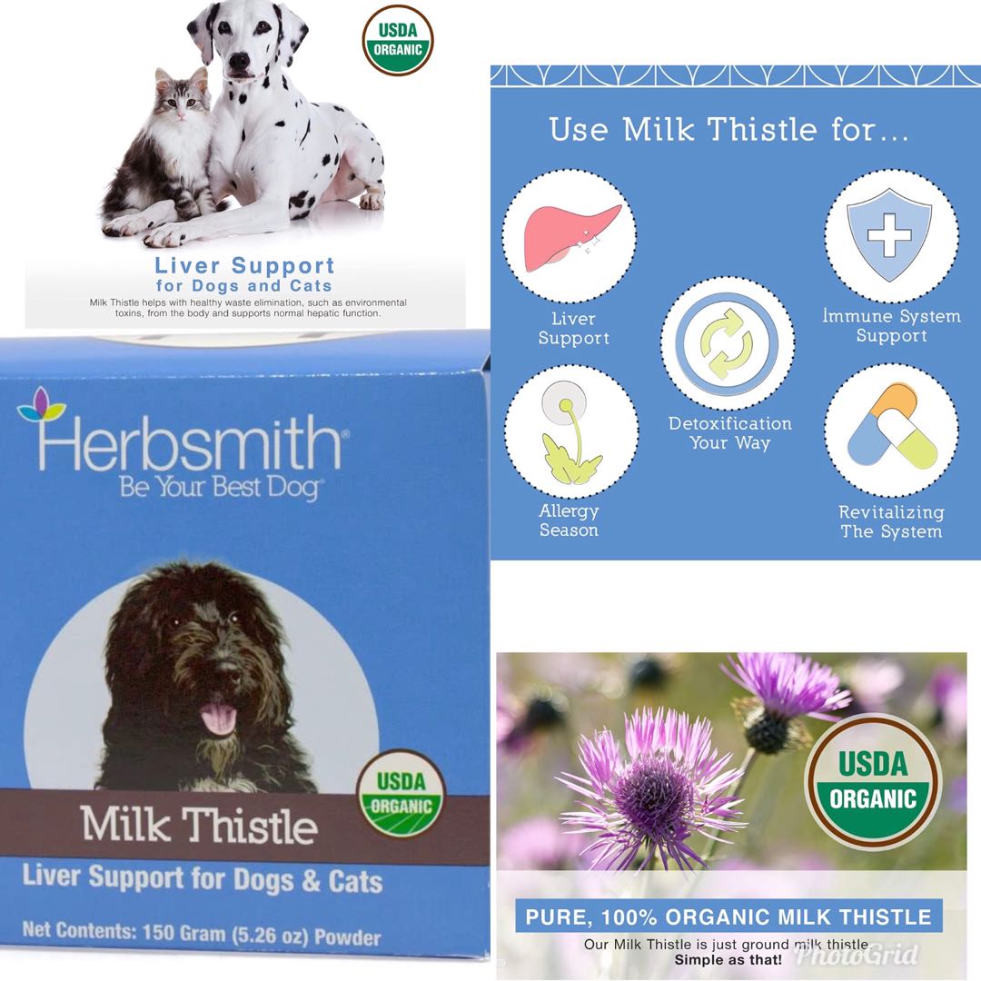 Herbsmith 100 Organic Milk Thistle 75g NASC