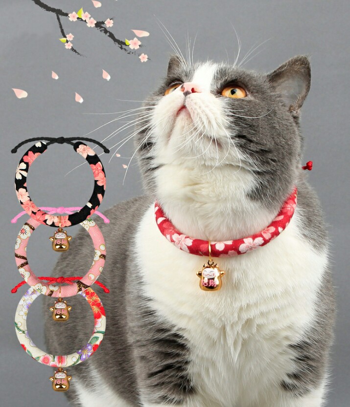 Japanese cat collar Clearance