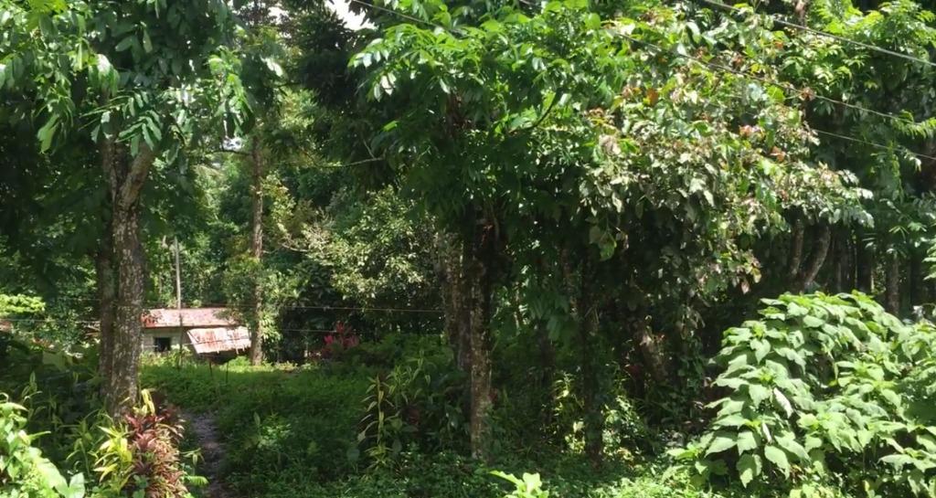 Lucban, Quezon (Brgy. Palola Malayo), Property, For Sale, Lot on Carousell