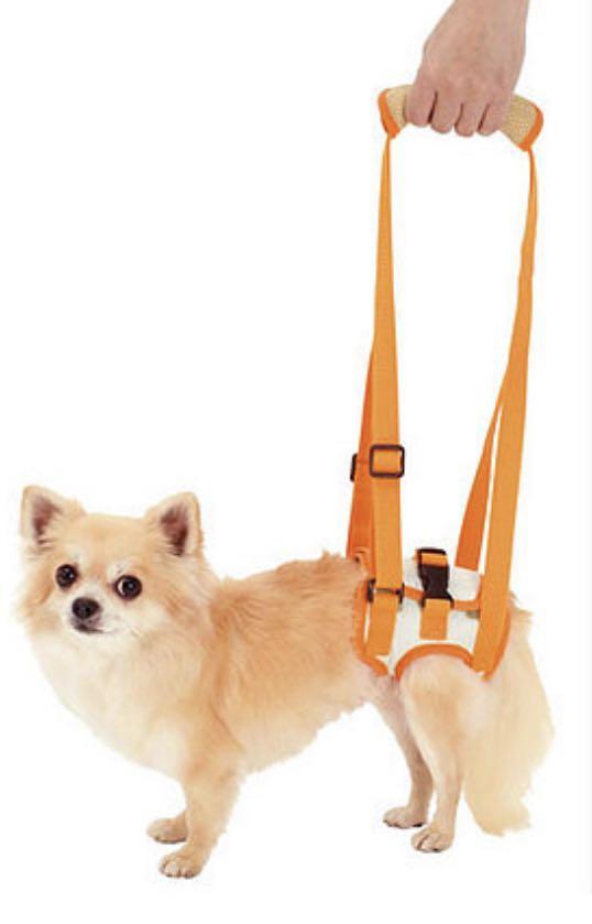 Petio Zuttone 高齡犬護理專用步行輔助背帶 後足 寵物用品 寵物衣服 Carousell