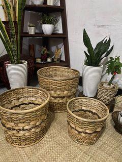 Planters Basket