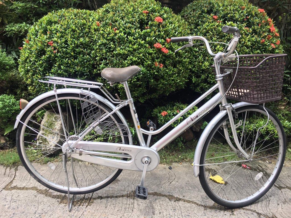 silver bike basket