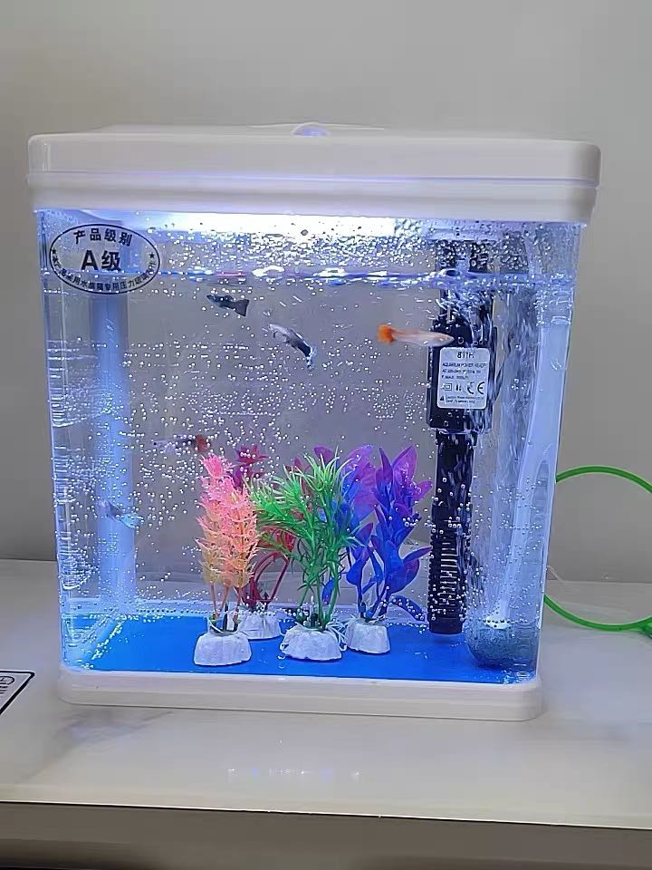 Small fish cheap aquarium with filter