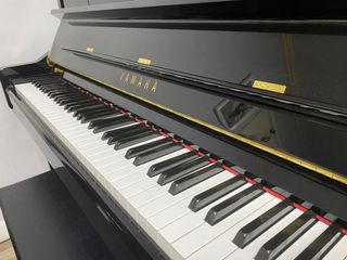 （分類：）位於 。 由 hohoooho 提交（商品編號 1042552930，圖片 1）。簡介： 。
