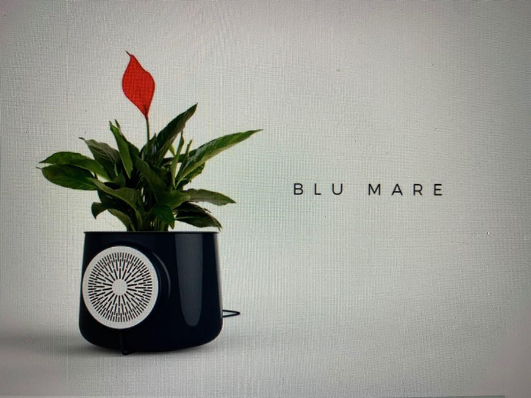 Air Purifier Flower Pot Clairy blue