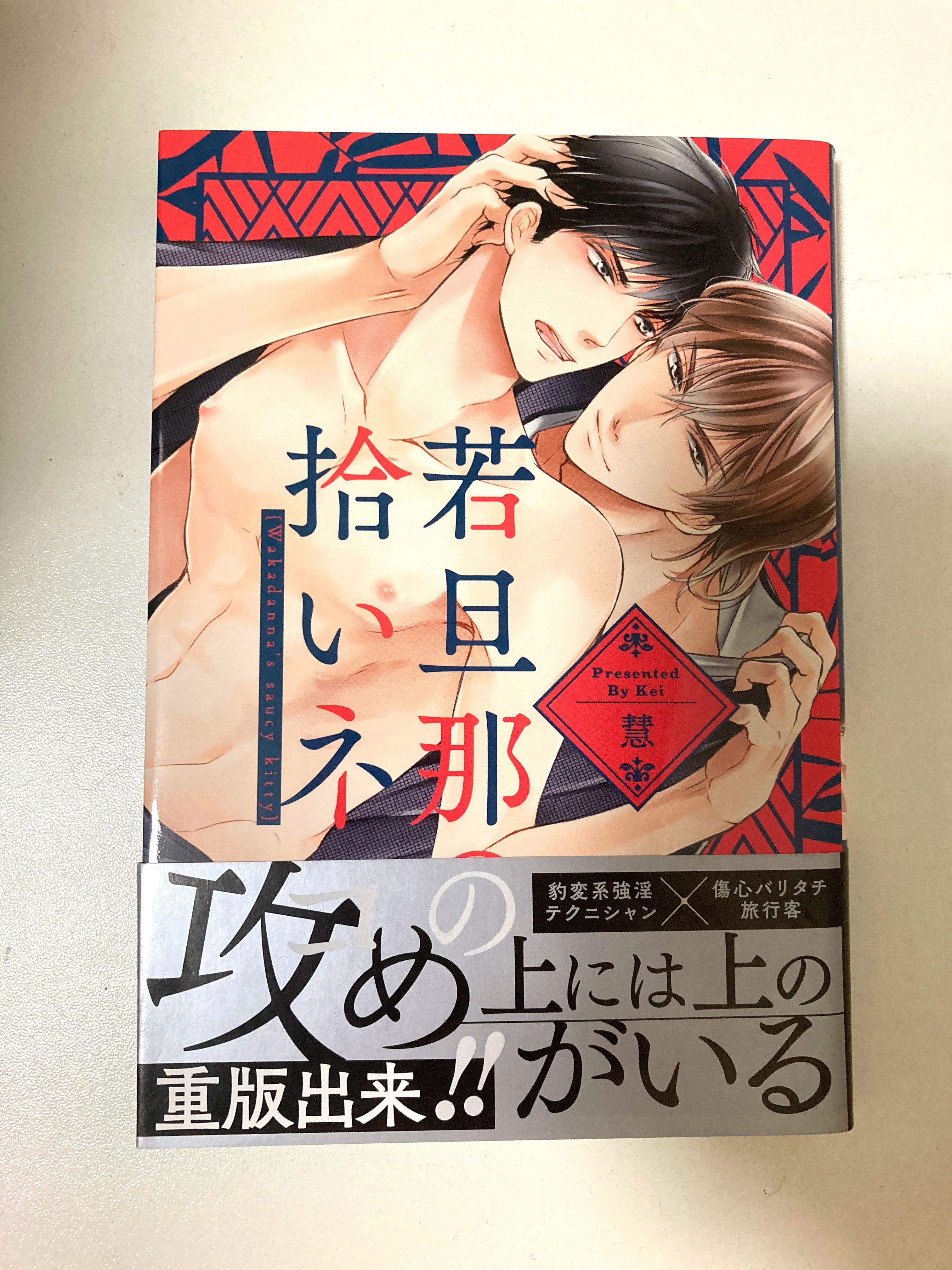 日文bl漫畫若旦那の拾いネコ慧 興趣及遊戲 書本 文具 漫畫 Carousell