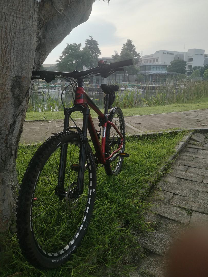 Foxter harvard hot sale 5.2 29er