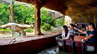 (Category: ) located in . Submitted by singapore.attractions (Listing ID 1042488170, Image 1). Description: .
