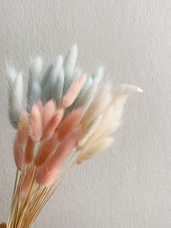 (Category: ) located in . Submitted by lilflowerroom (Listing ID 1042572882, Image 1). Description: .