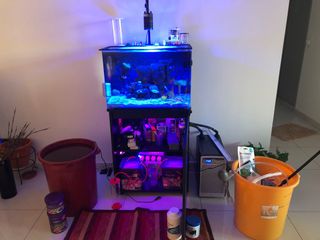 (Category: ) located in . Submitted by p8y7bfdutk (Listing ID 1042673366, Image 1). Description: .