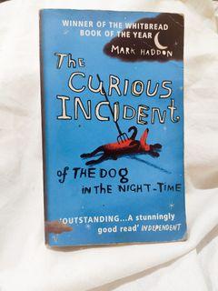 The Curious incident of the dog in the night-time