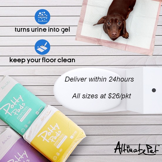 Altimate Pet Potty Pee Pad Pre Order Pet Supplies Homes Other Pet Accessories on Carousell