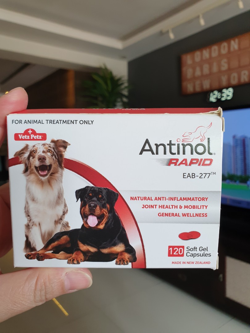 Antinol Rapid Pet Supplies Pet Food On Carousell