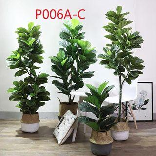 Artificial Plant For Indoor Home Decor Carousell Singapore