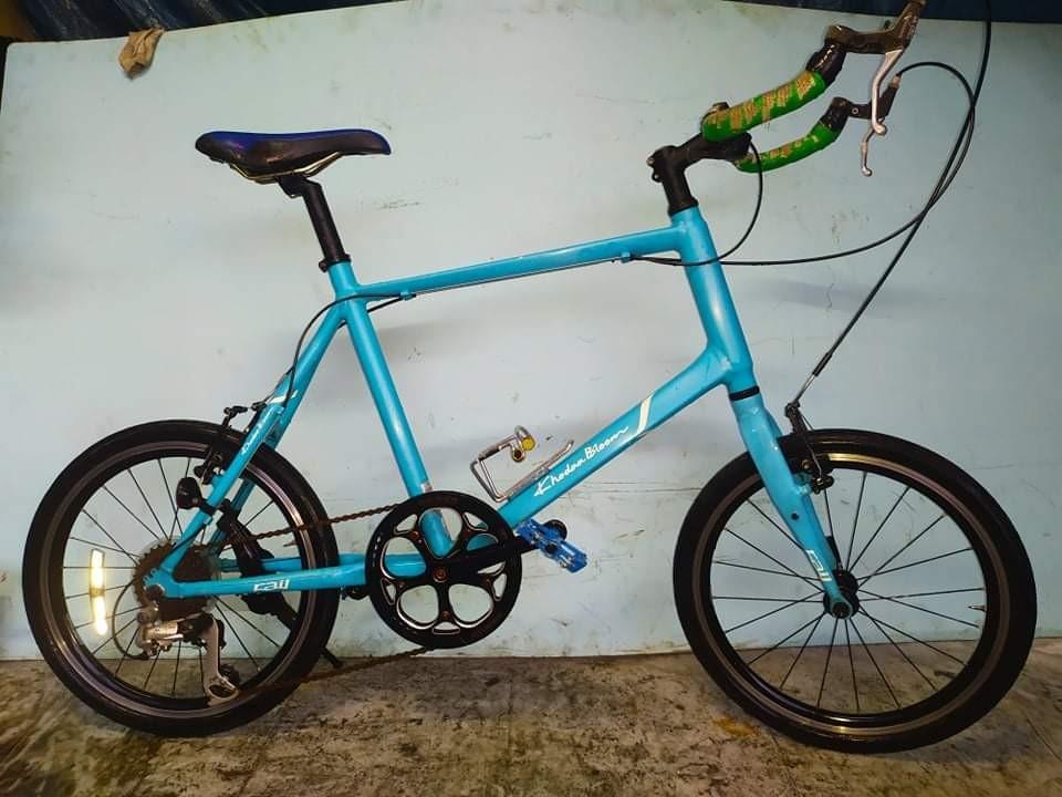 cycle ka horn price