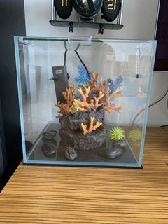 (Category: ) located in . Submitted by bl1609 (Listing ID 1042732999, Image 1). Description: .