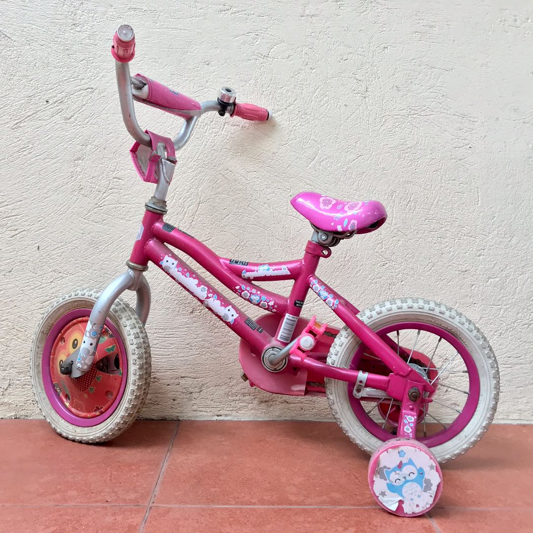 kids bicycle with training wheels