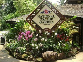 N Orchid Garden cheap ticket discount promotion Singapore Zoo Bird Park Safari Sentosa trick eye universal studios singapore ticket sea aquarium adventure cove cable car luge
