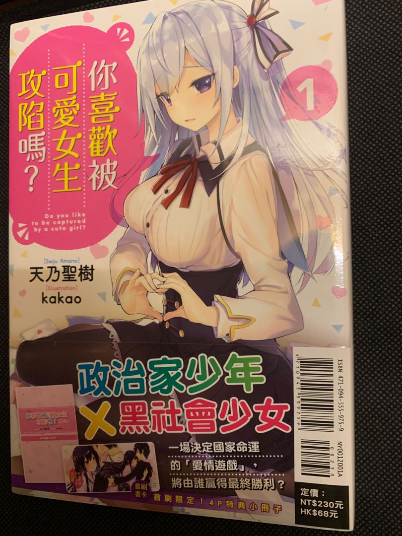 東立輕小說你喜歡被可愛女生攻陷嗎 興趣及遊戲 書本 文具 漫畫 Carousell