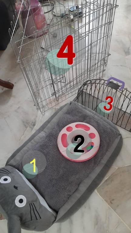 Aksesori kucing, Home u0026 Furniture, Furniture on Carousell