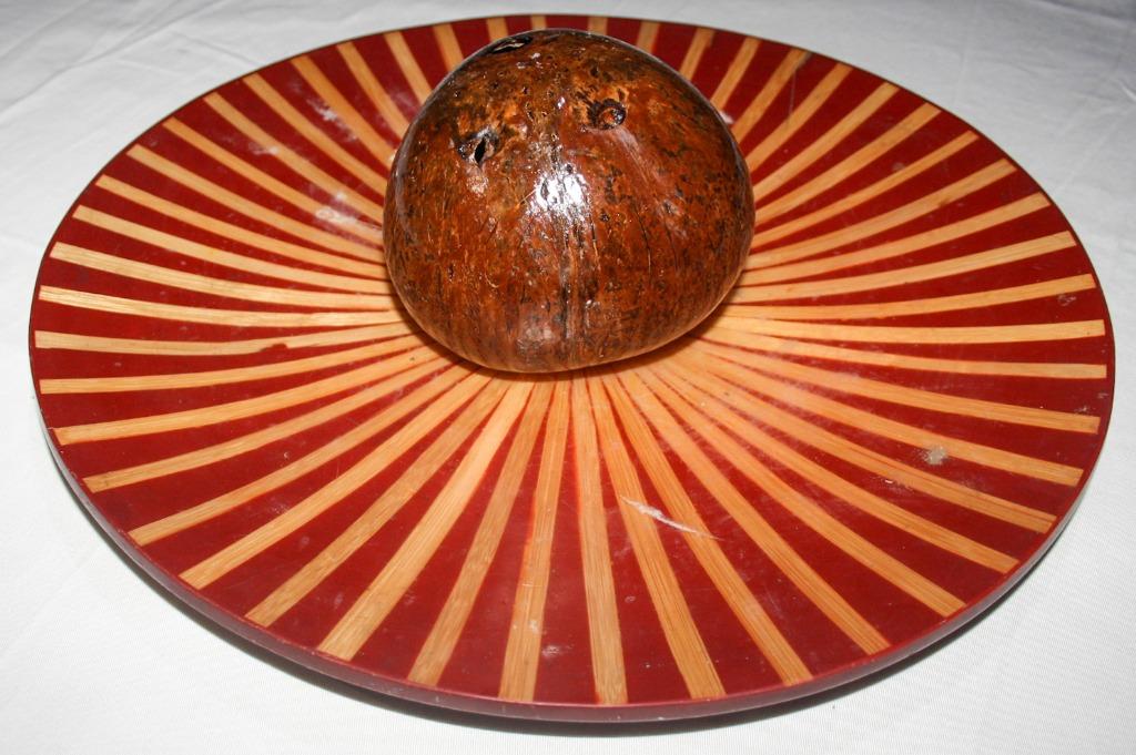 Coconut Shell Coin Bank Seamless and Durable Coconut Shell Coin Bank, Hobbies & Toys