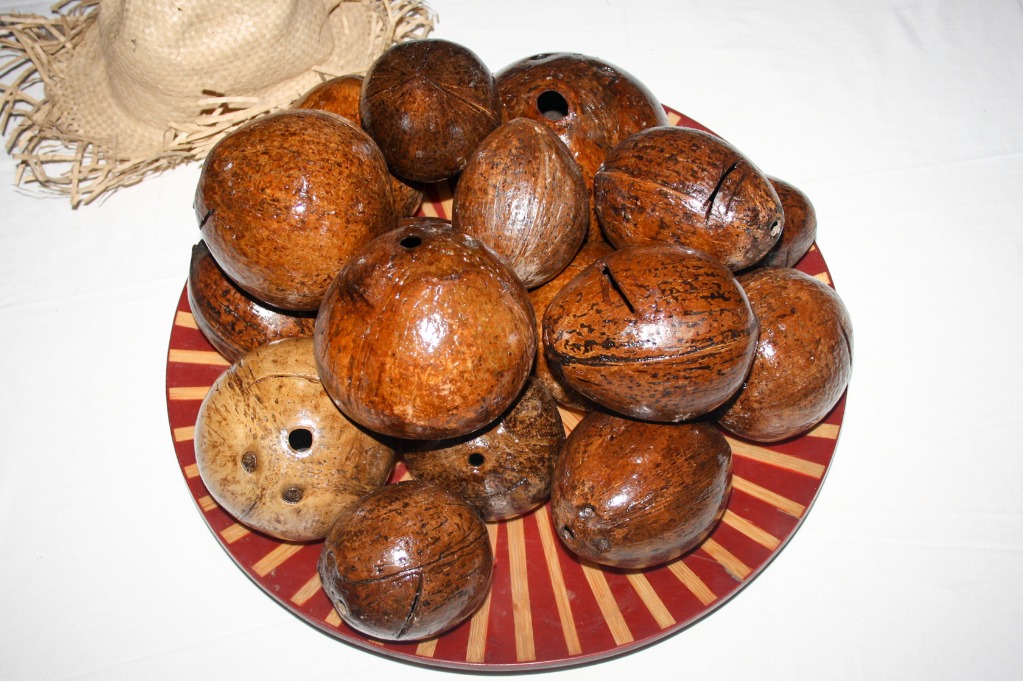 Coconut Shell Coin Bank Seamless and Durable Coconut Shell Coin Bank, Hobbies & Toys