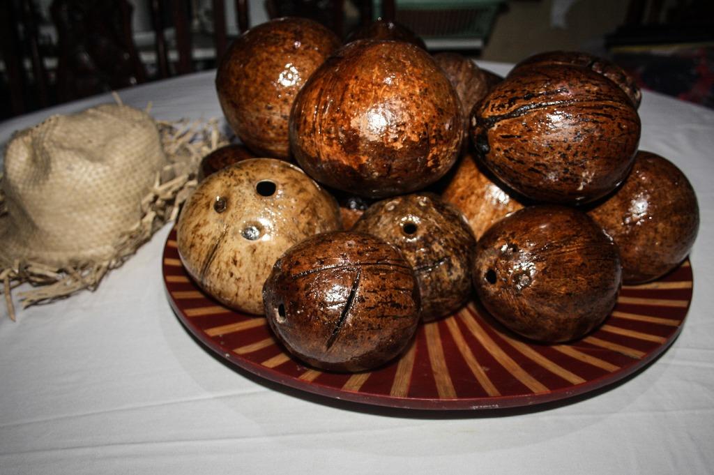 Coconut Shell Coin Bank Seamless and Durable Coconut Shell Coin Bank, Hobbies & Toys