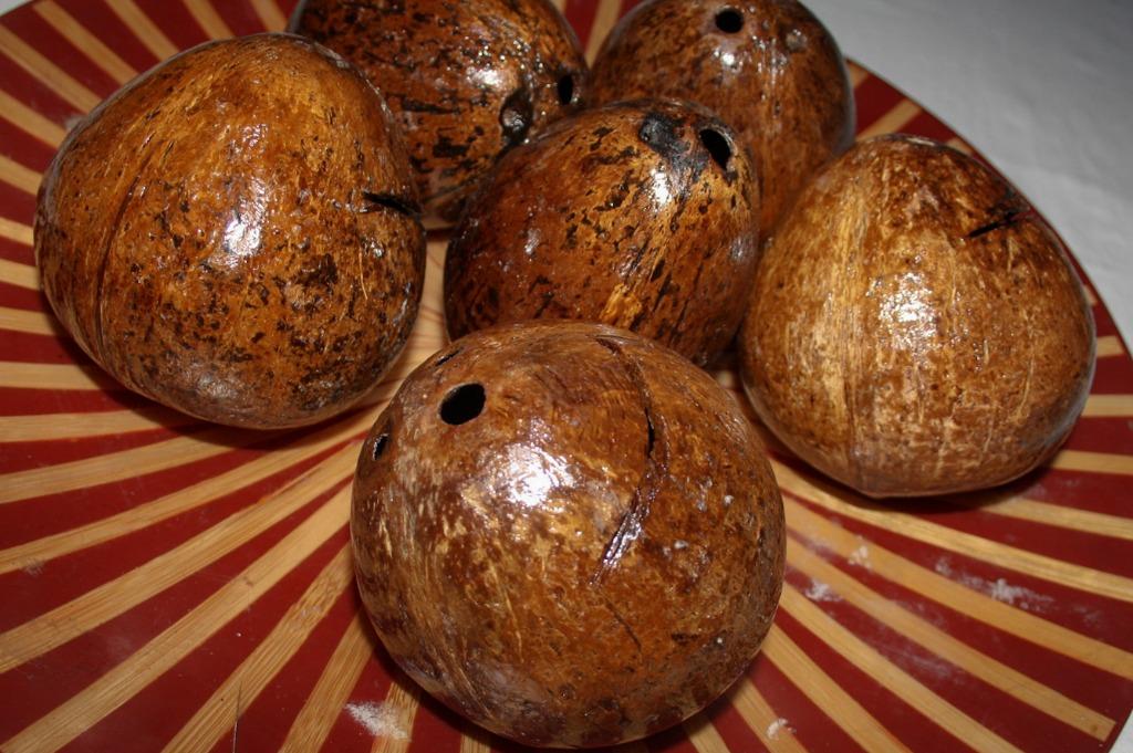 Coconut Shell Coin Bank Seamless and Durable Coconut Shell Coin Bank, Hobbies & Toys