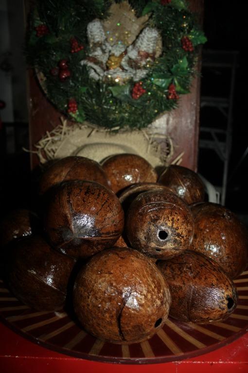 Coconut Shell Coin Bank Seamless and Durable Coconut Shell Coin Bank, Hobbies & Toys