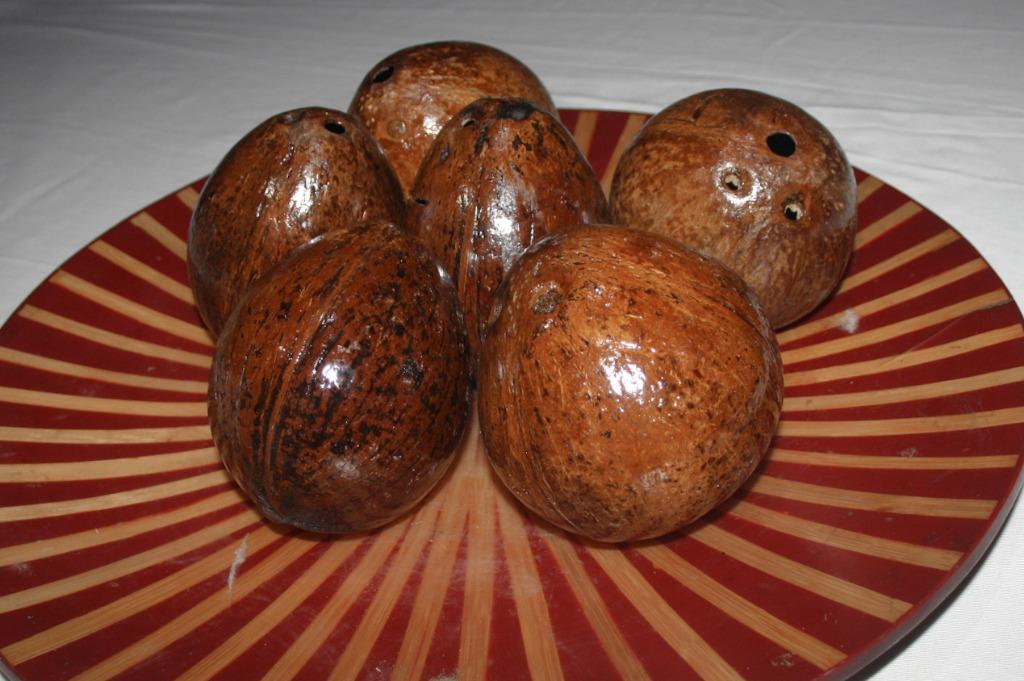 Coconut Shell Coin Bank Seamless and Durable Coconut Shell Coin Bank, Hobbies & Toys