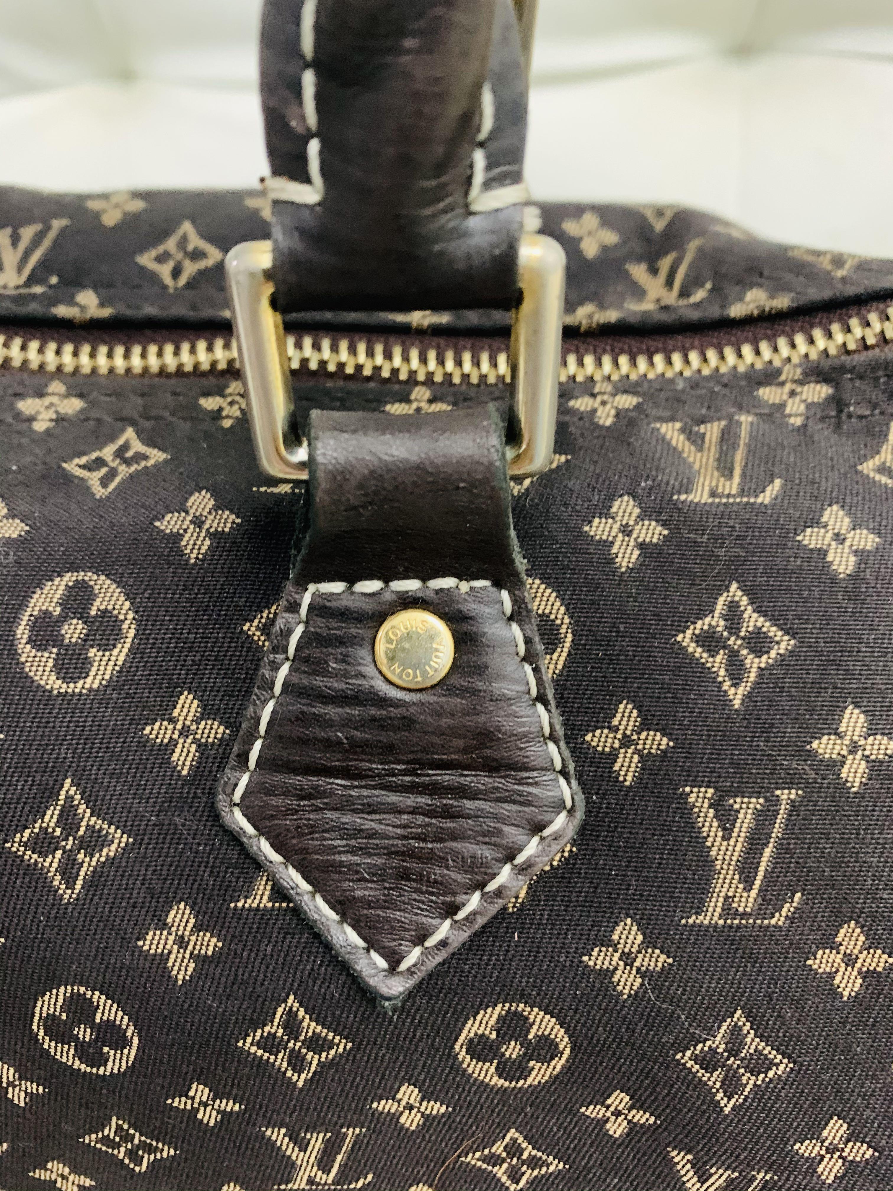 Speedy cloth bowling bag Louis Vuitton Brown in Cloth - 16831129