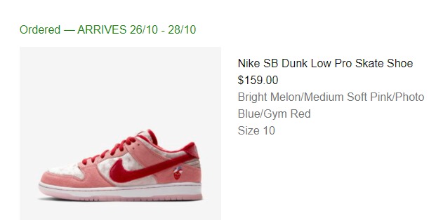 nike sb dunk size 10