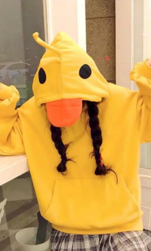 Duck hoodie