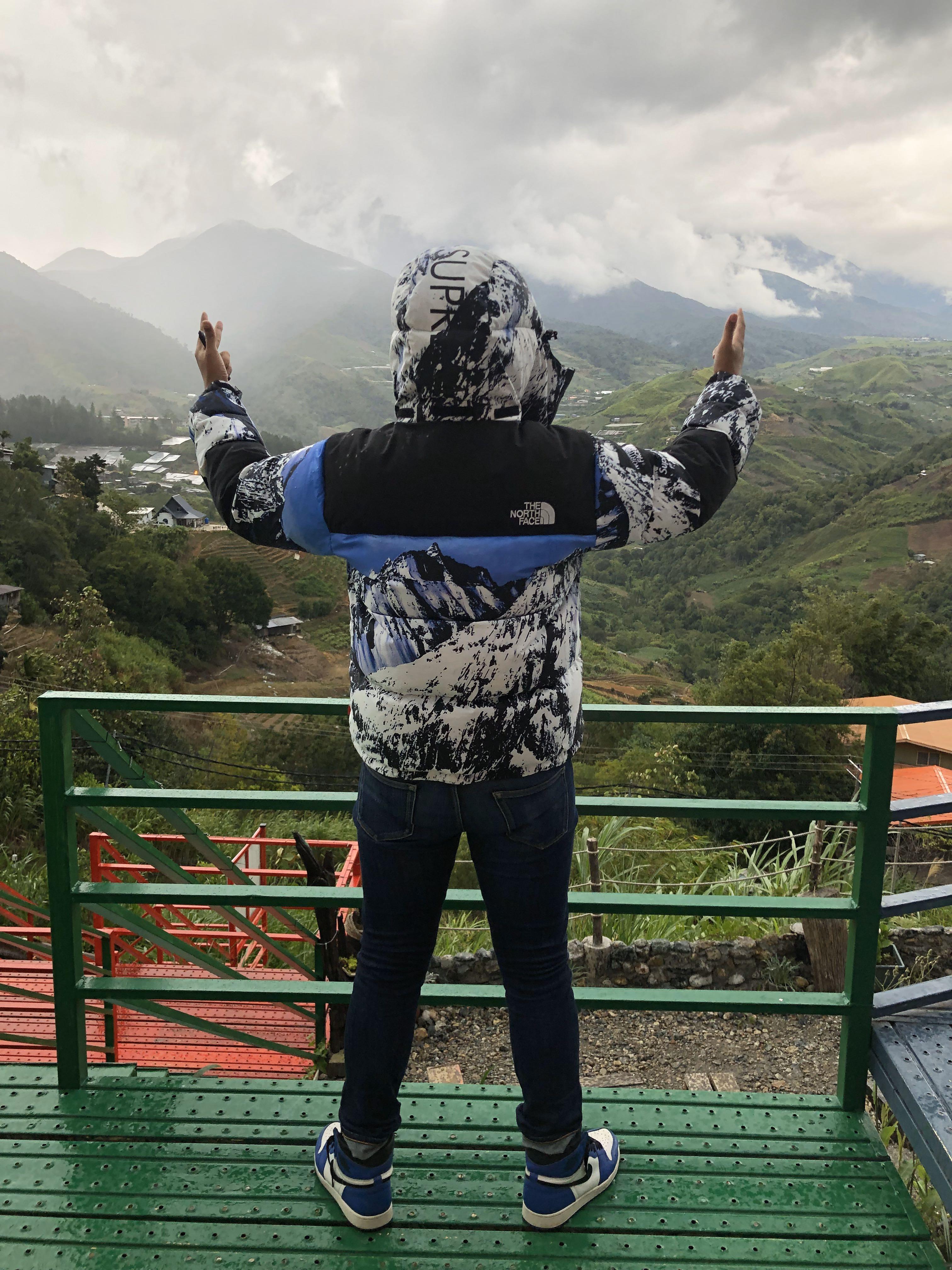 Supreme tnf fw17 online