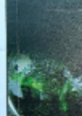 （分類：）位於 。 由 blueseaocean 提交（商品編號 1038860590，圖片 1）。簡介： 。